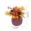 Fall Maple Leaf Pinecone Berry Set Decor Pumpkin Photography Table Centerpiece
