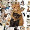 50 Pieces Cat PET Stickers Cute Realistic Cat Meme Emoji Decals Decorate Water Cups Stationery Suitcases Fridges Laptops Notebook Scrapbook