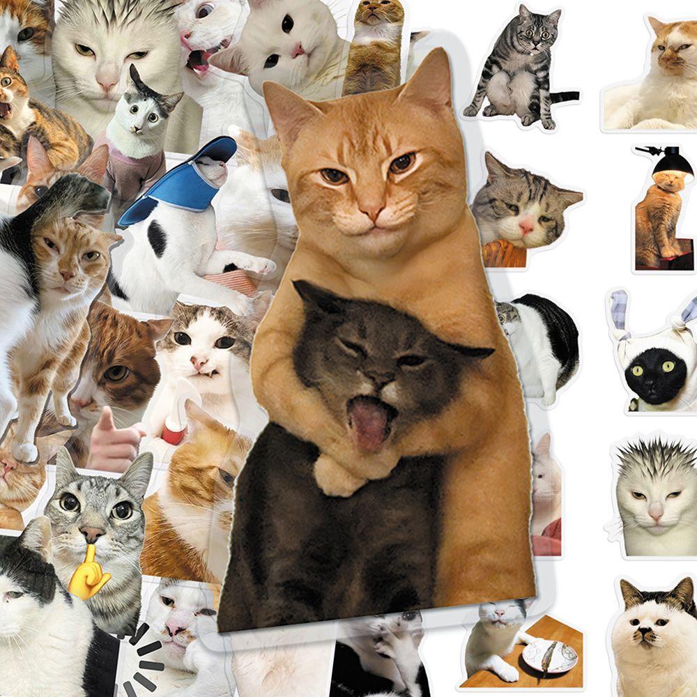 50 Pieces Cat PET Stickers Cute Realistic Cat Meme Emoji Decals Decorate Water Cups Stationery Suitcases Fridges Laptops Notebook Scrapbook
