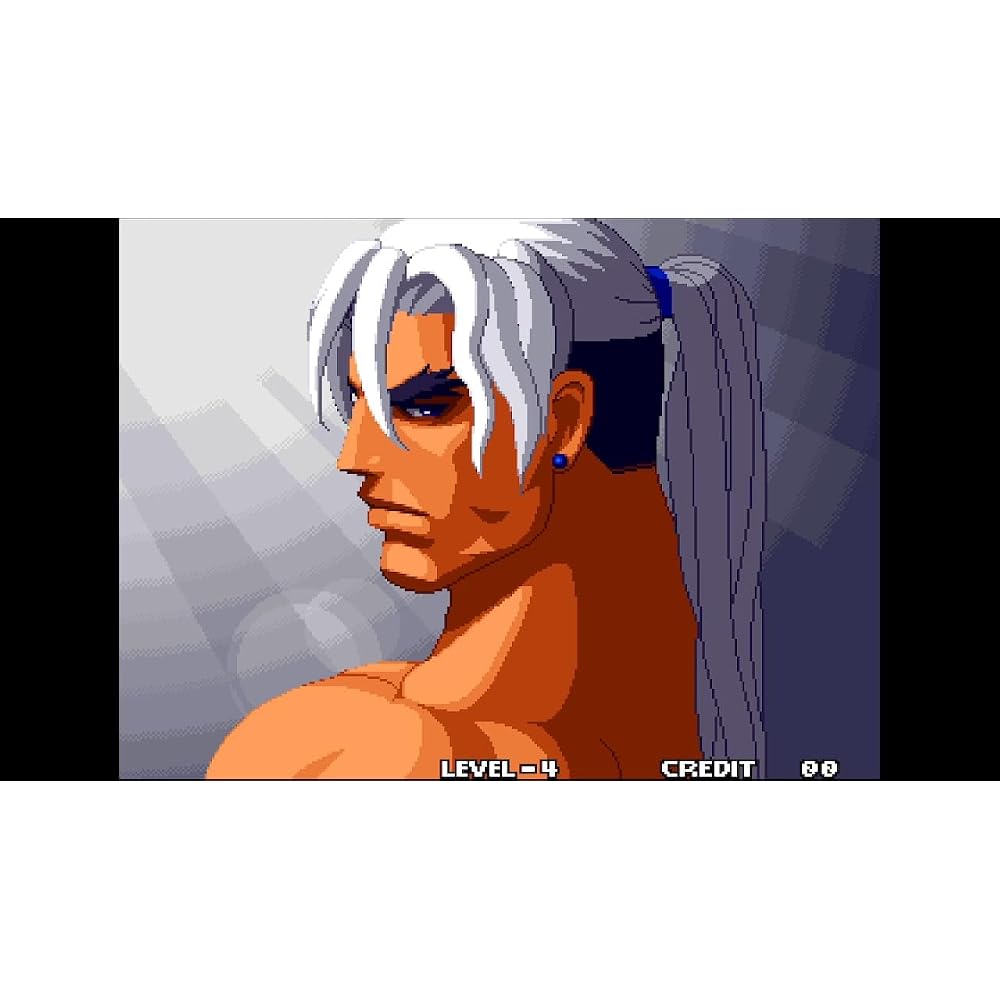 AKEAKA NEOGEO SELECTION Vol. 10 -Switch