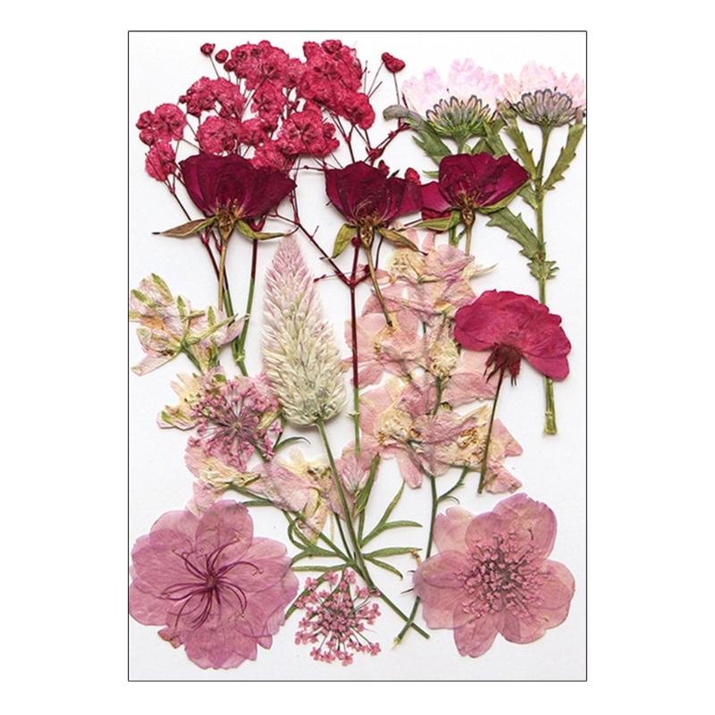 Dried Pressed Flower for Resin Molds Natural Dry Flower Leaves for Art Craft Supplies Scrapbooking Jewelry Making 6XDE