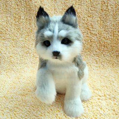 realistic husky dog pomsky robot