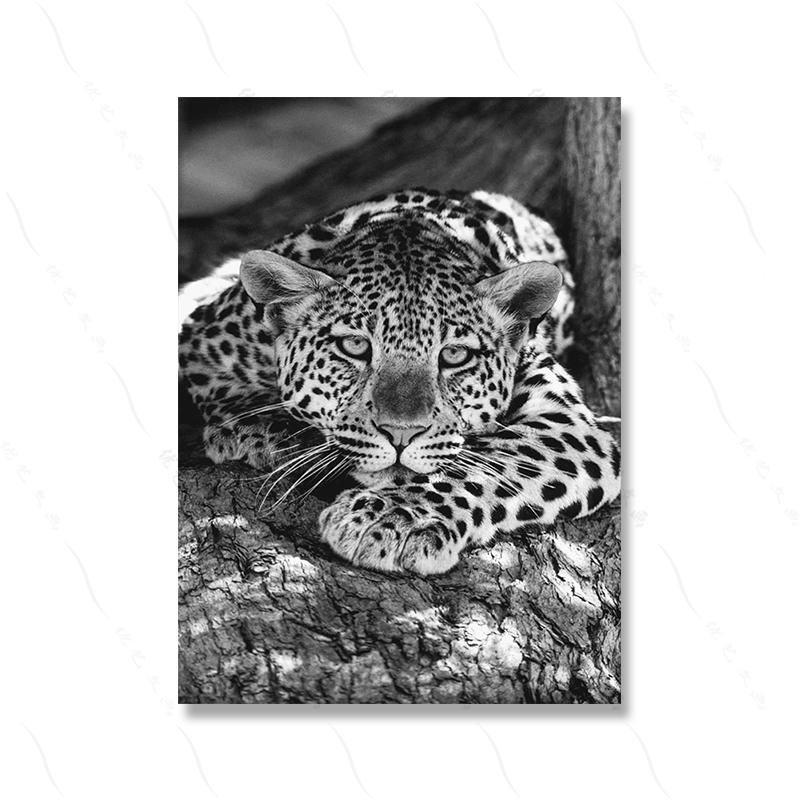 

Черный, белый цвет, модная фотография в стиле ретро, ​​современный фильм, постер с принтом, винтажная забавная обложка с изображением животных, холст, картина для комнаты, домашний деко 21x30cm No Framed