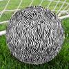 Animal Pattern Indoor Size 5 Soccer Ball Colorful Machine Stitched PVC Competition Ready Durable High-Bounce