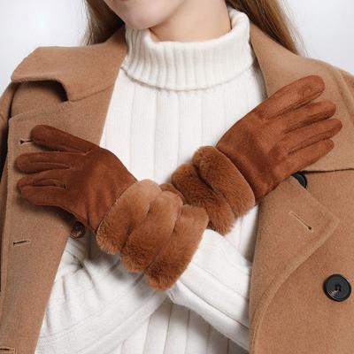 Warm halten Wildleder Damen Handschuhe Verdicken Winter Fahrhandschuhe Mode Handschuhe Outdoor