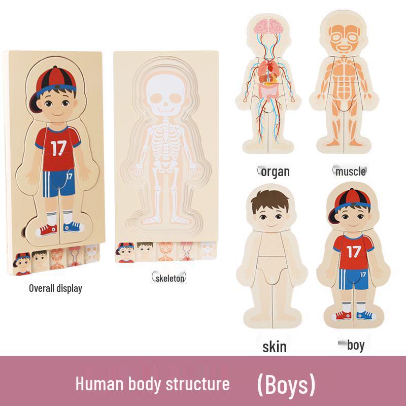 Wooden Multi-layer Body Structure Puzzle for Kids Ages 3-10 - Educational Toy for Early Learning