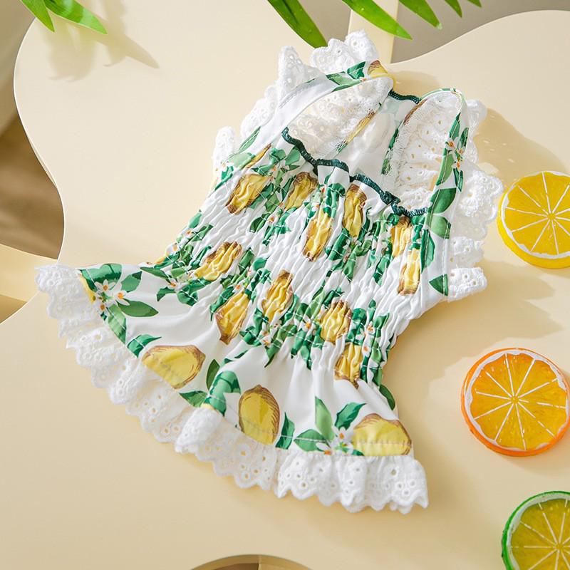 Vestido Vaquero Primavera-Verano: Falda de tirantes estilo Hong Kong para perros y gatos