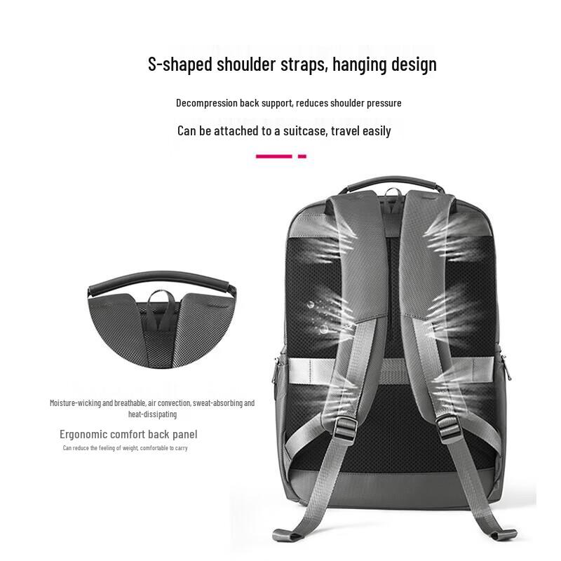 Diplomat Business Travel Laptop Backpack