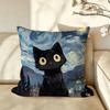 Art Van Gogh Irises BBlack Cat Cushion Cover Pillow Case Antidustmite Pillowcase Silky Short Plush Sofa Cushion Cover hot