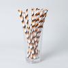 Biodegradable Colorful Striped Paper Straws - Individually Wrapped for Party Decoration
