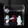 Acrylic Fish Training Mirror Decorative Fish Playing Mirror Fish Tank Floating Mirror  Playing