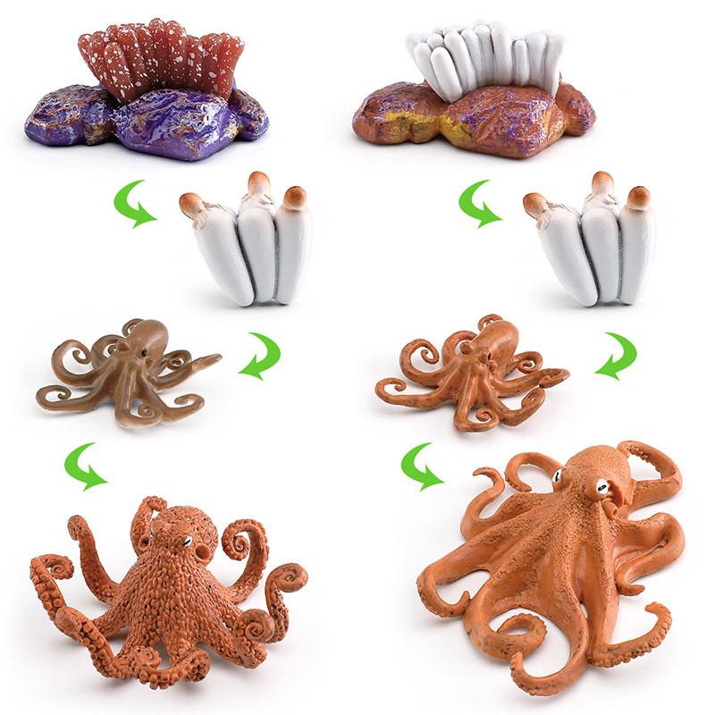 Detaillierte Kunststoff-Oktopus-Lebenszyklus-Figur für interaktives Lernen und Spielen