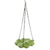 Flower Shaped Hanging Bird Feeder Large Capacity Adjustable Chain Hummingbird Feeder Durable Multipurpose Bird Water Drinker