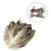 50Pcs Feathers for Fly Tying Fly Wing Tail Material Feathers Fly Tying Supplier for Cosplay Party Wedding Activities Carnival