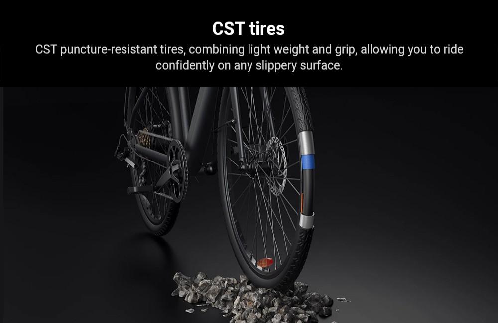DYU Stroll 1 Elektrofahrrad, 250W Motor, 36V 9Ah Akku, 700*38C CST Reifen, 25km/h Höchstgeschwindigkeit, 100km Reichweite