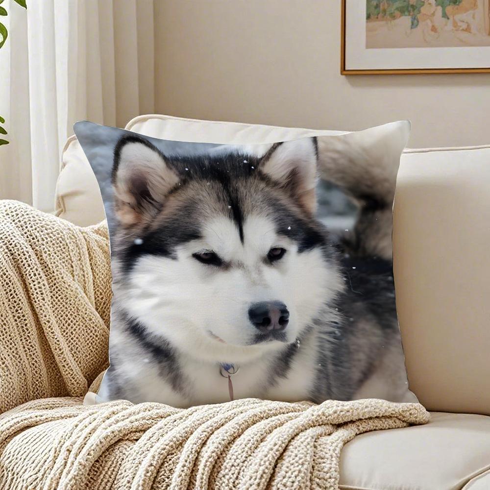 CUTE AAlaskan Malamutes Cushion Cover Pillowcase Antidustmite living Room Sofa Decor Cushion Room