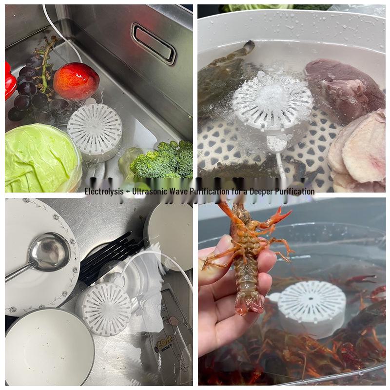 Ultrasonic Fruit & Veggie Cleaner: Sterilize, Disinfect, Remove Pesticides Conveniently