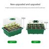 Heightened Seedling Box with Cover - 6/12 Holes, 3-Piece Set for Succulents & Vegetables