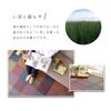 IKEHIKO DX Colorful Block Rug/Carpet, Made In Japan with Igusa Grass, Approx. 191 X 191 Cm, Gray, Non-Woven Backing #1711520