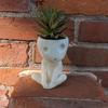 Luminous Face Planter Pot Head Flower Pot Cute Resin Succulent Planter Flowerpot With Drain Hole For House Office Decor
