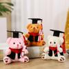 12cm Graduation Bear Plush Toy Soft Stuffed Dr Bear Doll Kawaii Bear Keychain  Clothing Decor
