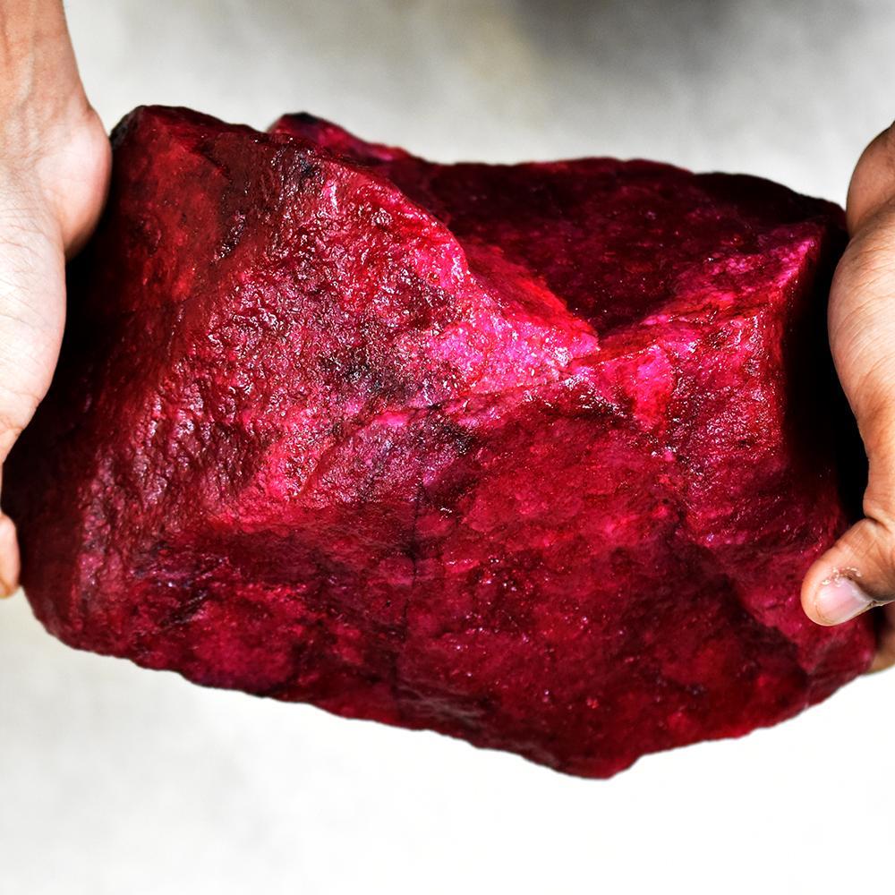 Earth Mined 2500 Ct CERTIFIED Uncut NATURAL Red Ruby Rough Loose Gemstone