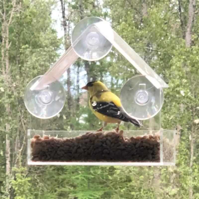 Window Glass Bird Feeder House Transparent Wild Table Removable Adsorption Sliding Feed Tray Outdoor Garden Birds Feeding Tools