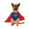 Dog Costume