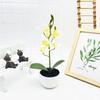 Phalaenopsis Potted Simulated Artificial Artificial Flower Ornament Desktop