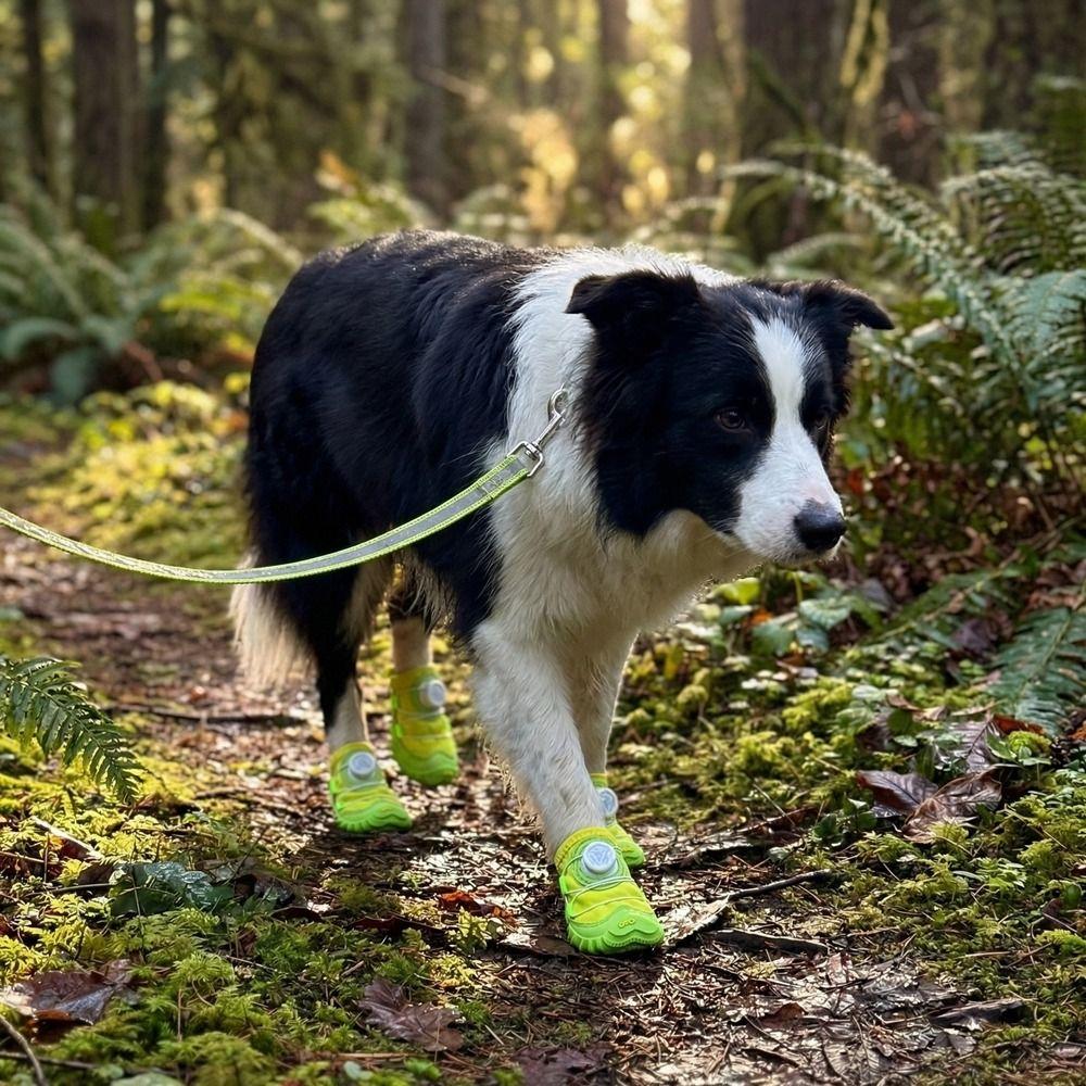 4PCS Adjustable Pet Mesh Boots Anti-Slip Pet Paw Protector Wear-resistant Dog Sneakers  Daily Wear