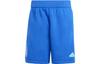 Argentina Travel Shorts Sports Shorts Men's Cobalt Blue IU2150