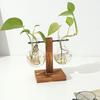 Plant Propagation Station with 1/2 Glass Vases And Wood Stand Decorative Tabletop Terrarium Planter Clear Glass Hydroponic Vase for Office Garden Home