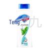 Safeguard Peppermint Icy Soothing Shower Gel