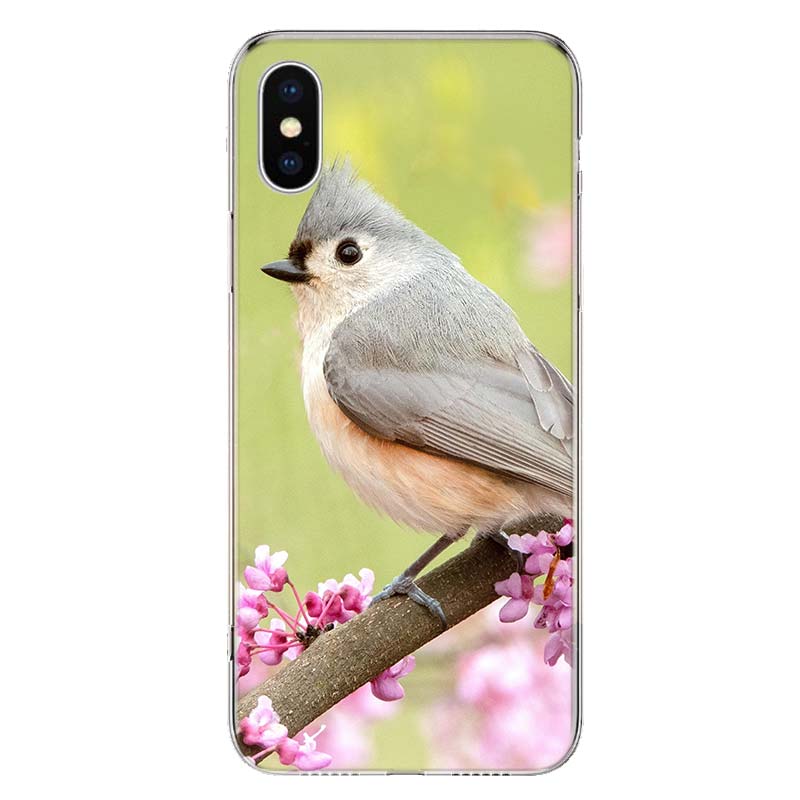 Magpie Bird Cover Phone Case For Apple iPhone 11 12 13 14 Pro 7 XR X XS Max 6 6S 8 Plus + Mini 5 SE Print Soft Cover Coque