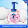 Safeguard Foaming Antibacterial Hand Wash - Aloe, 300g