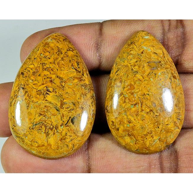 

82Cts. Natural Marium Fossil Oval Cabochon Loose Gemstone 2Pcs Lot PP-273