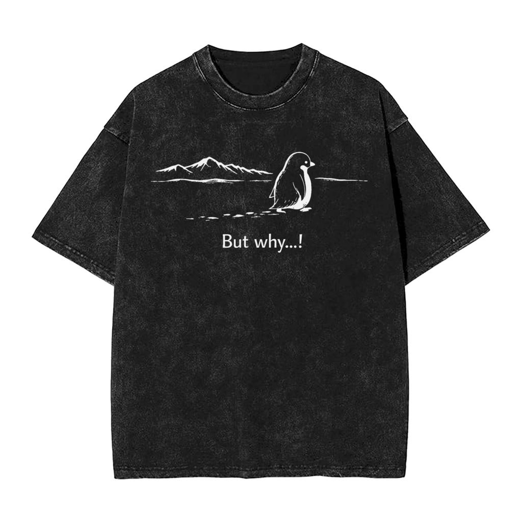 Streetwear Washed Tshirt Lone Penguin Survival But Why Funny Dark Meme Cotton Tshirts Hipster Tshirt Men Beach Y2k Basic Tees