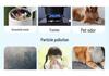 Indoor Air Purifier for Formaldehyde, Odor, and Smoke with Advanced Exhaust Filter