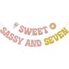 Sweet Sassy And Seven Banner,Donut 7th Birthday Party Decorations,Ice Cream 7th Birthday Decorations,7 Year Old Girl Boy Birthday Party Decorations
