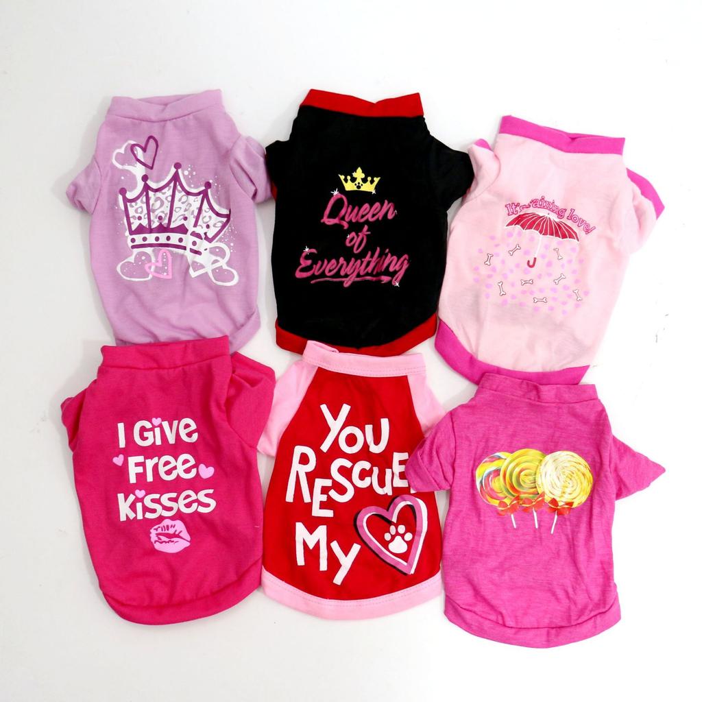 The New Dog Vest Is Trendy, Breathable and Elastic, Fashionable, Bi Xiong, Teddy, Pomeranian