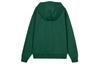 Nike Solo Swoosh Hoodie DX1356-323