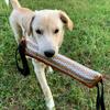 Durablity and Tear Resistant Dogs Training Chew Toy for Indoor Outdoor Play