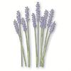 Lavender Metal Cutting Dies Stencils for DIY Scrapbooking Album Card Photo Decor
