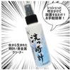 Precious Metal Cleaning Water x 1 [Wash Watch] (100ml bottle)