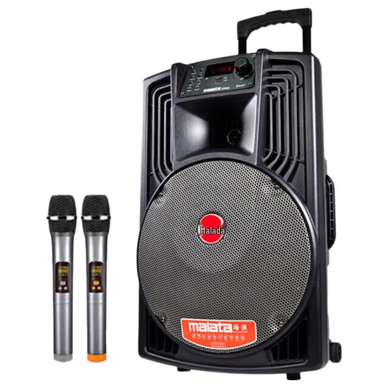 Malata Professional Portable Karaoke System CN plug (adapter included) (CN version)