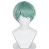Cabelo colorido – Perucas coloridas para Cosplay