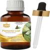 Folha de Pimenta Levenmooi (Pimenta dioica) Frasco de vidro para óleos essenciais puros e naturais de grau terapêutico.