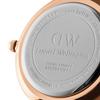 Danielwellingteon Petite St Mawes 2-Color Brown Women'S Leather Watch