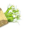 Weißer Narzissen-Künstblumenstrauß Grüne Blätter Seidenblüten Kunstblume Blumengesteck Foto Requisiten