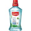 Energizing Mint Mouthwash